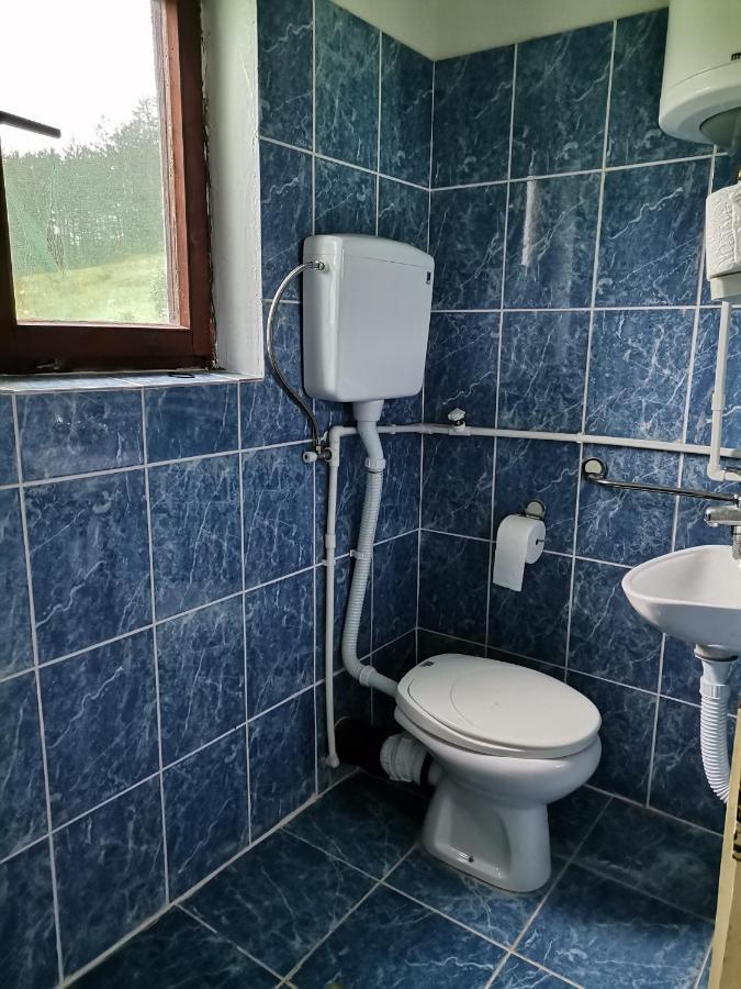 Zavojsko Jezero Pirot - Smestaj Manic Guest House Gostusa Exterior photo