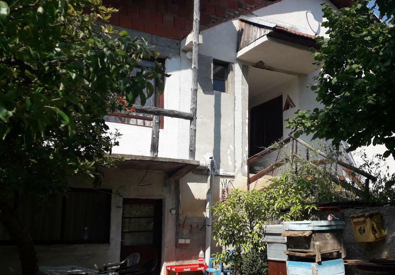 Zavojsko Jezero Pirot - Smestaj Manic Guest House Gostusa Exterior photo