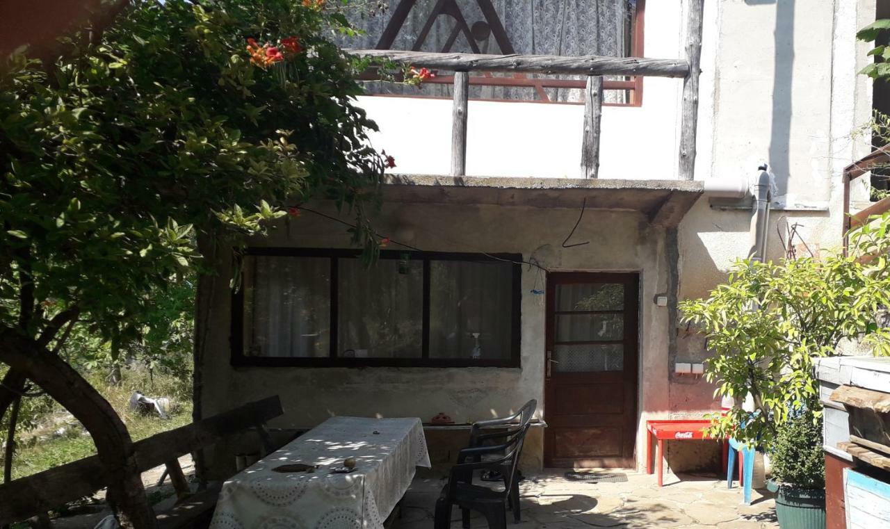 Zavojsko Jezero Pirot - Smestaj Manic Guest House Gostusa Exterior photo
